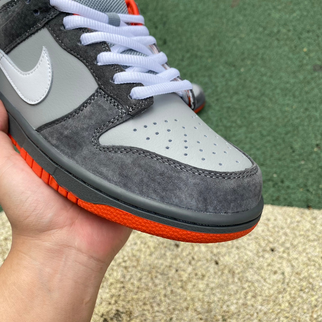 Nike Dunk SB Pigeon